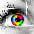 oeil