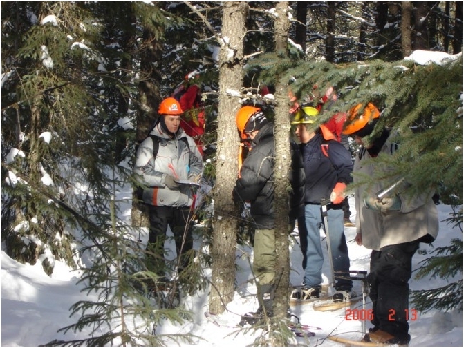ChargÃ© de projets (technicien forestier)