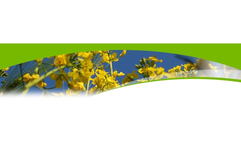 Environnement de travail Veolia Services Ã  l'Environnement 2