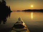 Image 635