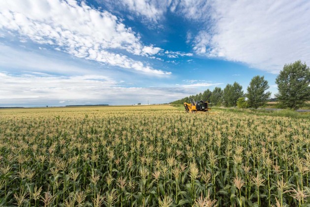 Offres d'emploi de Analyste financier Carriere jobs.ch