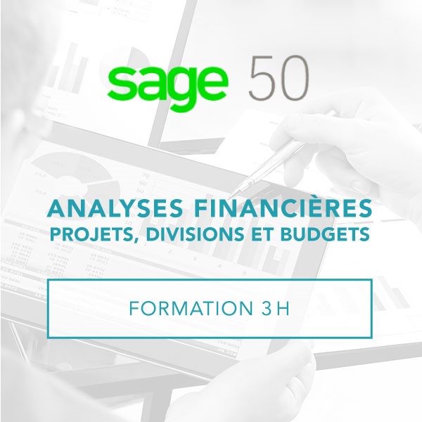 Formation - Projets- Divisions- Budgets - Analyses financières