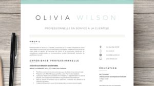 7 elements d'un cv accrocheur