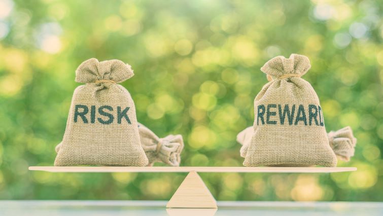Risk Versus Reward for Businesses