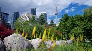 Toronto is Hiring For Hundreds Parks and Recreation Jobs
