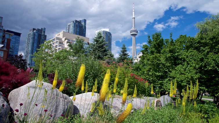Toronto is Hiring For Hundreds Parks and Recreation Jobs
