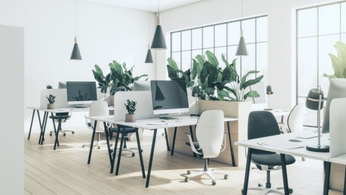 Renting the Ideal Office Space To Promote Mental Wellness - a beautiful office filled with sunlight and plants.