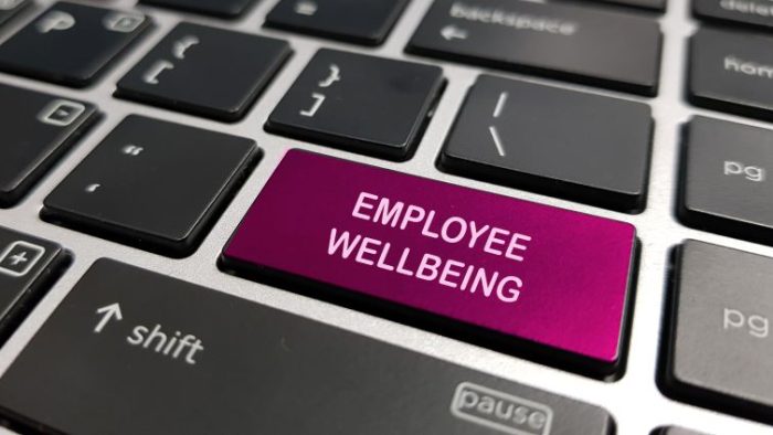 Investing in Employee Well-Being - 8 Workplace Wellness Initiatives - a work computer with a key called "employee wellbeing" highlighted.