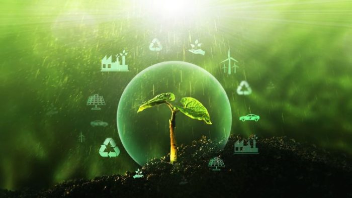 How To Capitalize on the Growing Demand for Green Jobs - a growing green plant surrounded by icons of various careers.