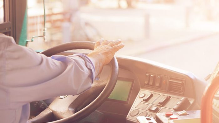 CV de chaffeur d'autobus