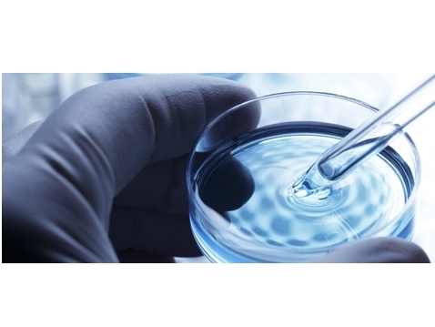 Job postings Sample Entry Coordinator - 17858 