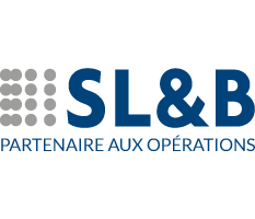 Consultants S.L. & B Inc