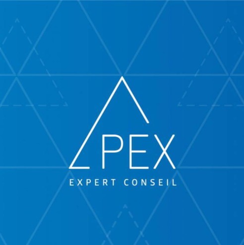 Apex Expert Conseil Inc.