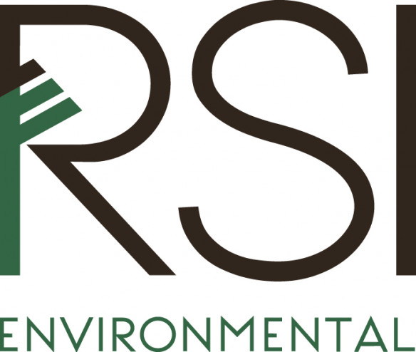 RSI Environnement RSI Environnement