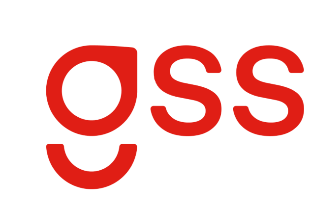 GSS inc.