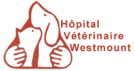 Hôpital vétérinaire Westmount
