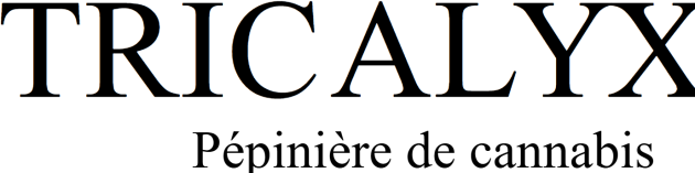 Pépinière Tricalyx inc.