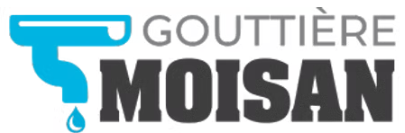 Gouttière Moisan