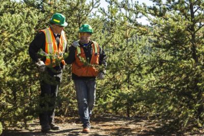 2021 Performance and New Targets: Forest Management
