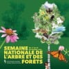 Semaine nationale de l’arbre et des forêts au Canada