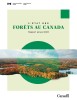 L’État des forêts au Canada : Relations pour la résilience