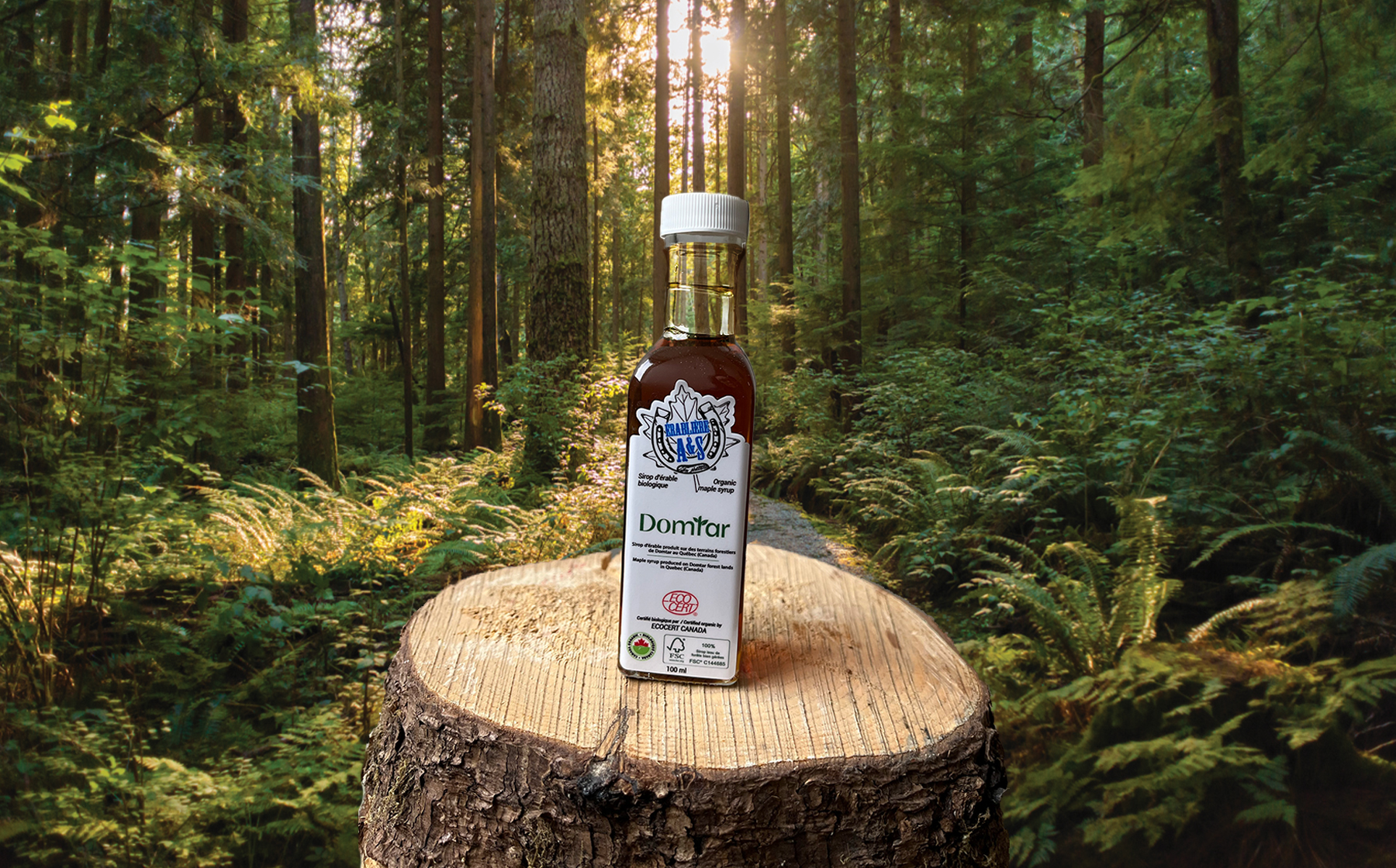 Producteurs de sirop d’érable et Domtar : de doux partenariats