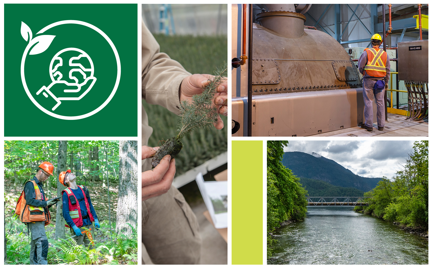 Notre stratégie de développement durable : un engagement envers l’intendance environnementale