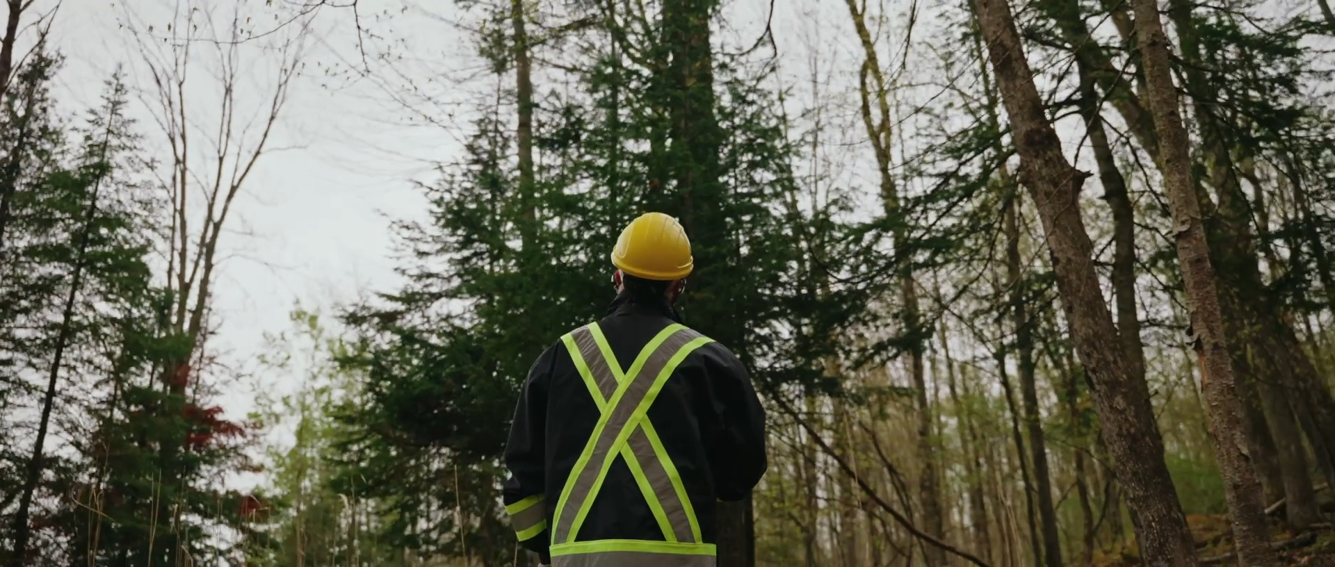 Notre histoire arrive à l’écran : Un fabricant de produits forestiers engagé dans le développement durable
