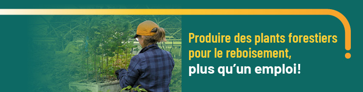 Alerte recrutement massif! Plus de 300 postes saisonniers à combler!