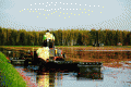 Environnement de travailCanneberges L&S SEC0