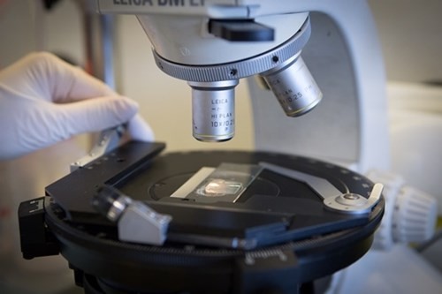 Job postings Sample Entry Coordinator - 13773 Photo 2016 12 20 09 34 05 