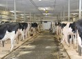 Environnement de travailCentre de recherche en sciences animales de Deschambault - CRSAD0