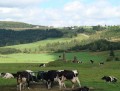 Environnement de travailCentre d’emploi agricole de l’Estrie0