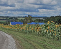 Environnement de travailCentre d’emploi agricole de l’Estrie3