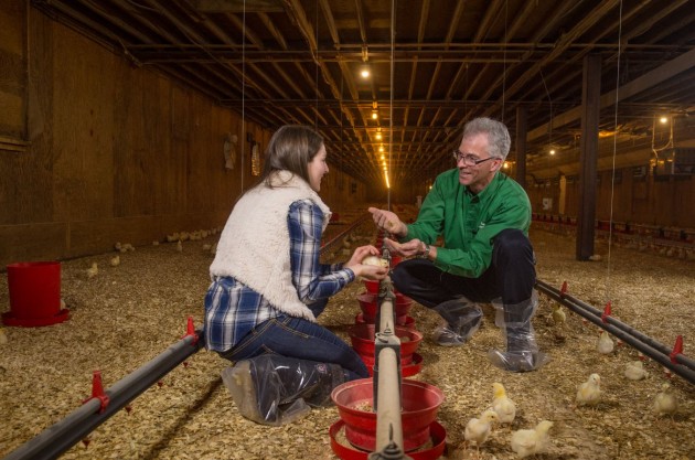 Photo Novago Coopérative 2