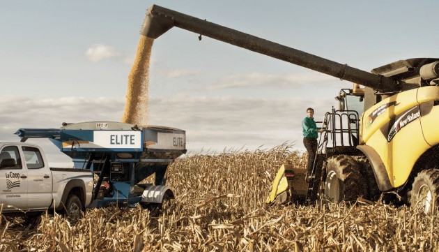 Photo Novago Coopérative 3