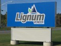 Photo Lignum Veneer 8