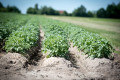 Work environmentsFédération de l'UPA de la Chaudière-Appalaches3