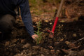 Photo Coopérative Forestière Ferland-Boilleau 5