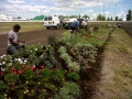 Photo Gauthier Fleurs & Jardins 1