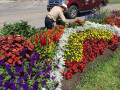 Photo Gauthier Fleurs & Jardins 2