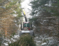 Photo Conseillers Forestiers de la région de Québec (CFRQ) 2