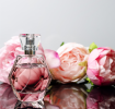 Environnement de travailImport-Export Beauchamp International Inc. / 1001 Fragrances universelles inc.2