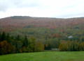 Photo Conseillers Forestiers de la région de Québec (CFRQ) 3