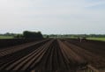 Environnement de travailMas & Fils Jardiniers Ltée0