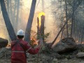 Photo SOPFEU - Société de Protection des Forêts contre le Feu 5