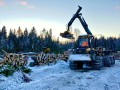 Work environmentsGroupement Forestier Métis-Neigette inc.0