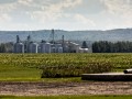 Photo Ferme Olofée inc. 5