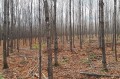 Environnement de travailGroupement Forestier de Beauce1