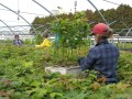 Photo Ministère des Ressources naturelles et des Forêts 28
